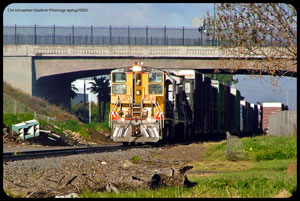 UP 1338 with a set of boxcars which will leave with them when they are finished gathering their loads as the HB Switcher - January 5th 2005