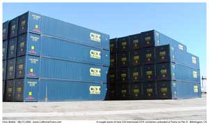 Two stacks of brand new Cub Scout CSX Intermodal containers offloaded empty at the Passcha Facility and awaiting transfer to a storage yard via truck.